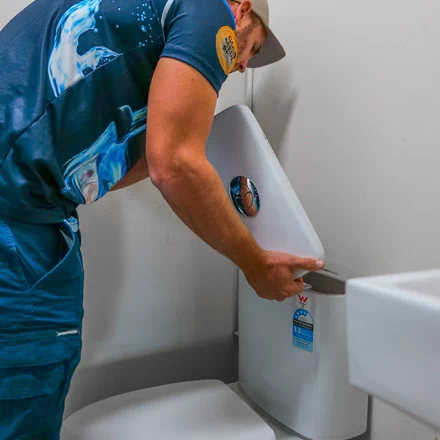 Toilet Plumbing Wynnum
